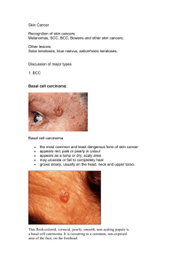 Tutorial Skin Cancer