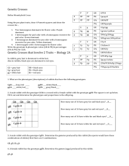 Homework help genetics two trait crosses