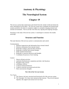 Chapter 19 The Neurological System