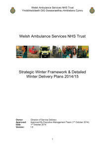 Strategic Winter Framework 2014/15