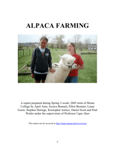 ALPACA FARMING