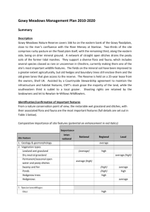 Management Plan (2010) Summary Document