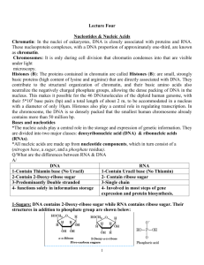 Nucleotides & Nucleic Acids