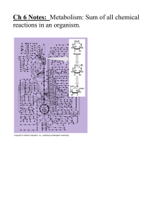 Ch 6 Notes: Metabolism: Sum of all chemical reactions in an organism