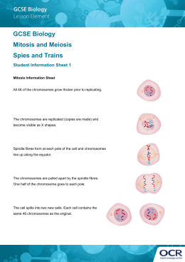ocr gcse biology coursework 2013 ocr gcse biology coursework 2013