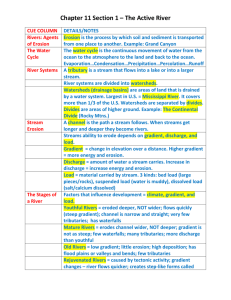 Chapter 11 section 1 cornell notes