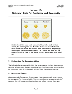 Lecture 10-Molecular Basis for Dominance and Recessivity