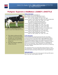 click here for sire report