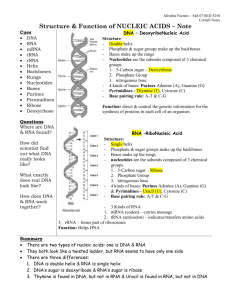 Nucleic Acids - cornell notes