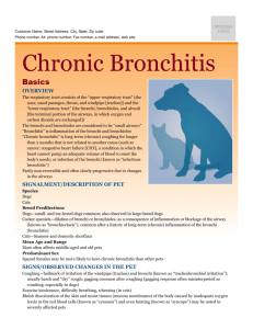 chronic_bronchitis