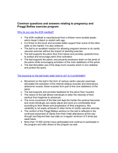 Common questions and answers relating to pregnancy and Preggi