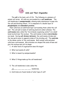 Worksheets Cells And Their Organelles Worksheet Answers cell packet answers plant animal cells and their organelles