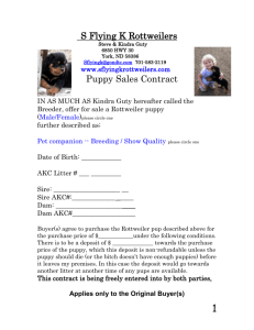 S Flying K Rottweilers Puppy Sales Contract
