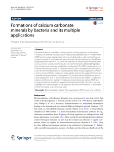 Formations of calcium carbonate minerals by bacteria