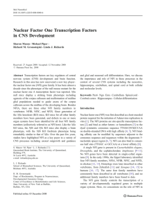 Nuclear Factor One Transcription Factors in CNS Development