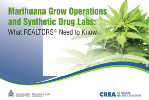 Marihuana Grow Operations and Synthetic Drug Labs