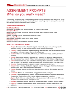 ASSIGNMENT PROMPTS What do you really mean?