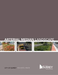 arterial median landscape