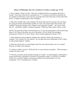 Candide essay topics image