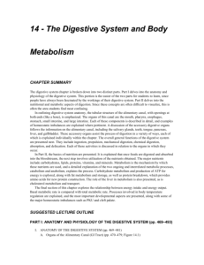 14 - The Digestive System and Body Metabolism