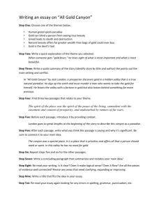 10 Step Essay on All Gold Canyon.doc