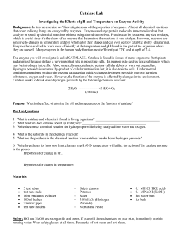 enzymes lab report example