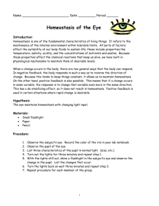 Homeostasis of the Eye