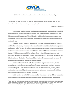 NACJJ Position Paper Summary - Child Welfare League of America