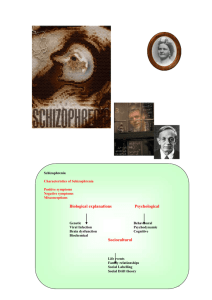 complete explanation of schiz