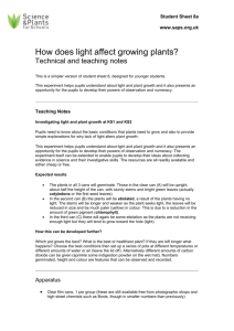 Teachers Notes - How does light affect growing plants