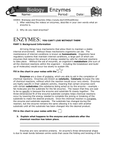 ENZYMES: THEY ARE ALL AROUND YOU