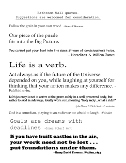 Poisonwood bible rachel essay