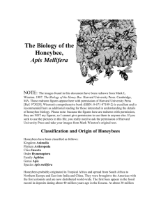 The Biology of the Honeybee, Apis Mellifera