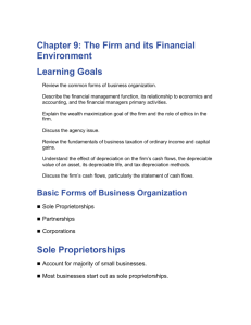 Chapter 9: The Firm and its Financial Environment