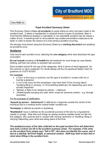 Pupil Accident Summary Sheet August 2013