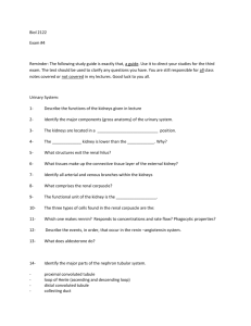 Biol 2122 Exam #4 Reminder: The following study guide is exactly