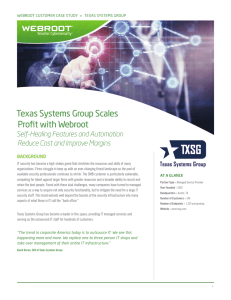 Texas Systems Group Scales Profit with Webroot
