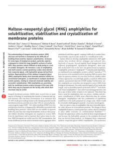 maltose–neopentyl glycol (mnG) - Institut de Biologie Physico