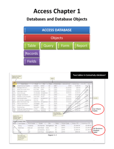 Access Chapter 1: Databases and Database Objects Camashaly