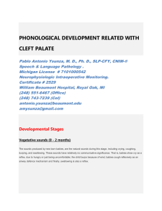 phonological development related with cleft palate