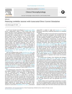 Polarizing cerebellar neurons with transcranial Direct Current