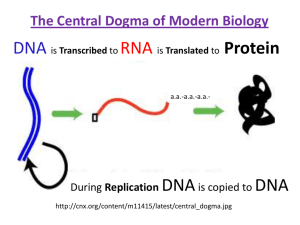The Central Dogma of Modern Biology