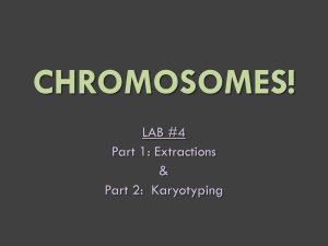 CHROMOSOMES!