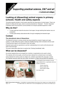 (dissecting) animal organs in primary schools