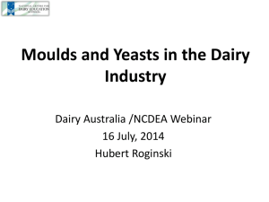 Moulds and Yeasts in the Dairy Industry
