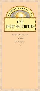 Investor Guide to GSE Debt Securities