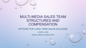 MULTI-MEDIA SALES TEAM STRUCTURES AND COMPENSATION