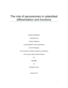 The role of peroxisome in osteoblast differentiation and functions