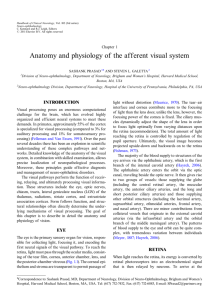Anatomy and physiology of the afferent visual system