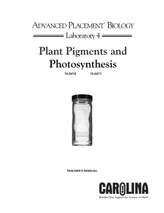 AP Biology Lab 4/pdf